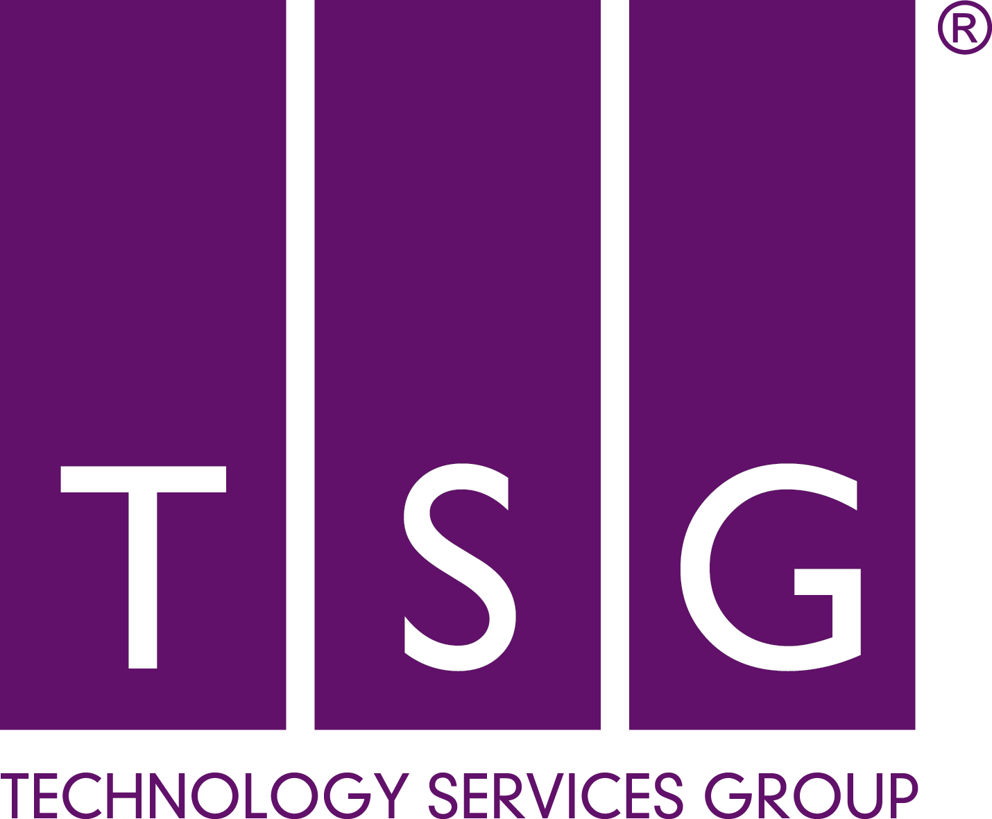 Technology Services Group
